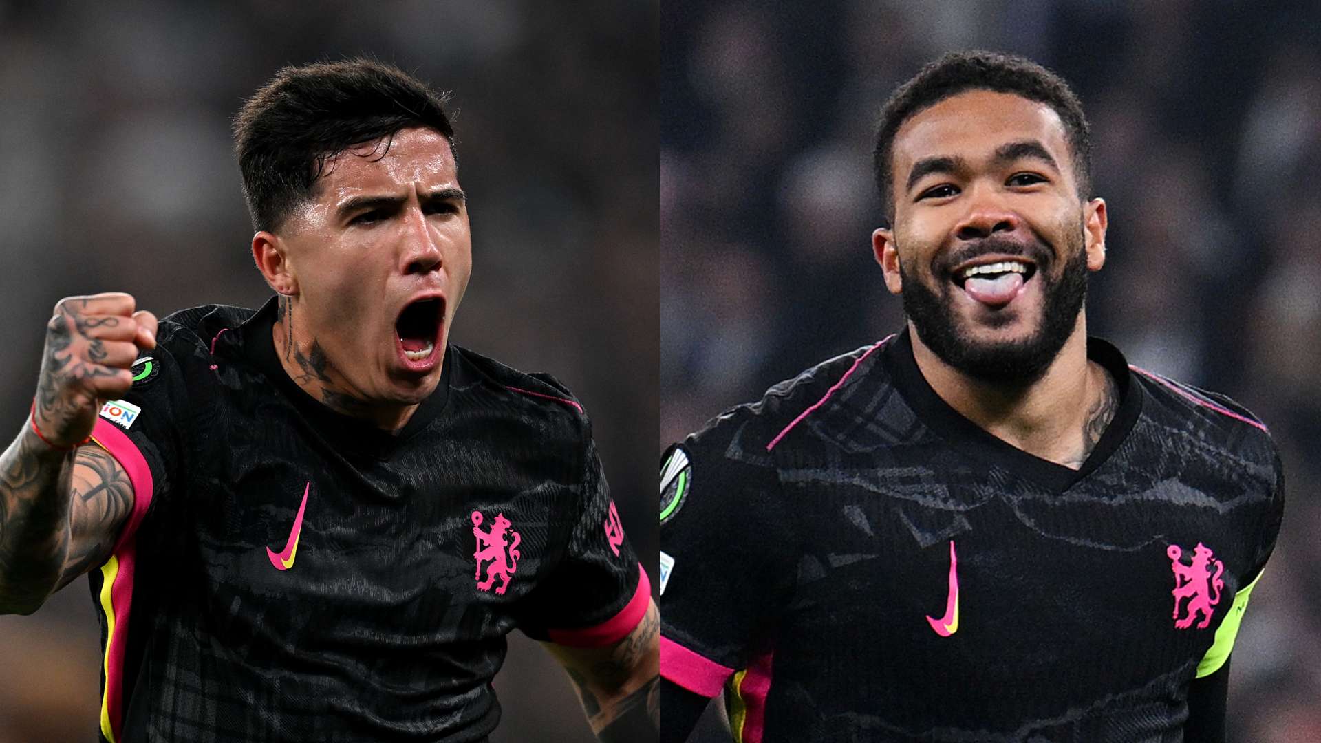 确保所引进 确保所引进