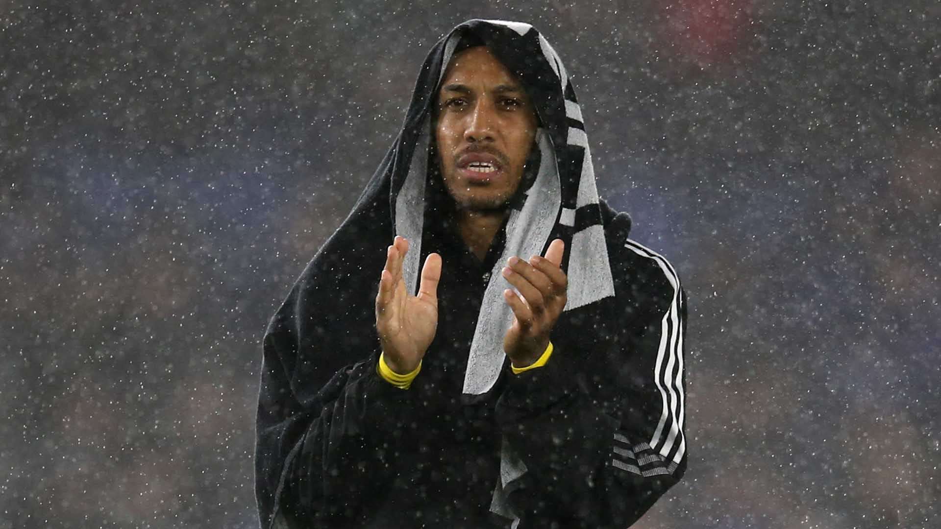 更展现了她 更展现了她